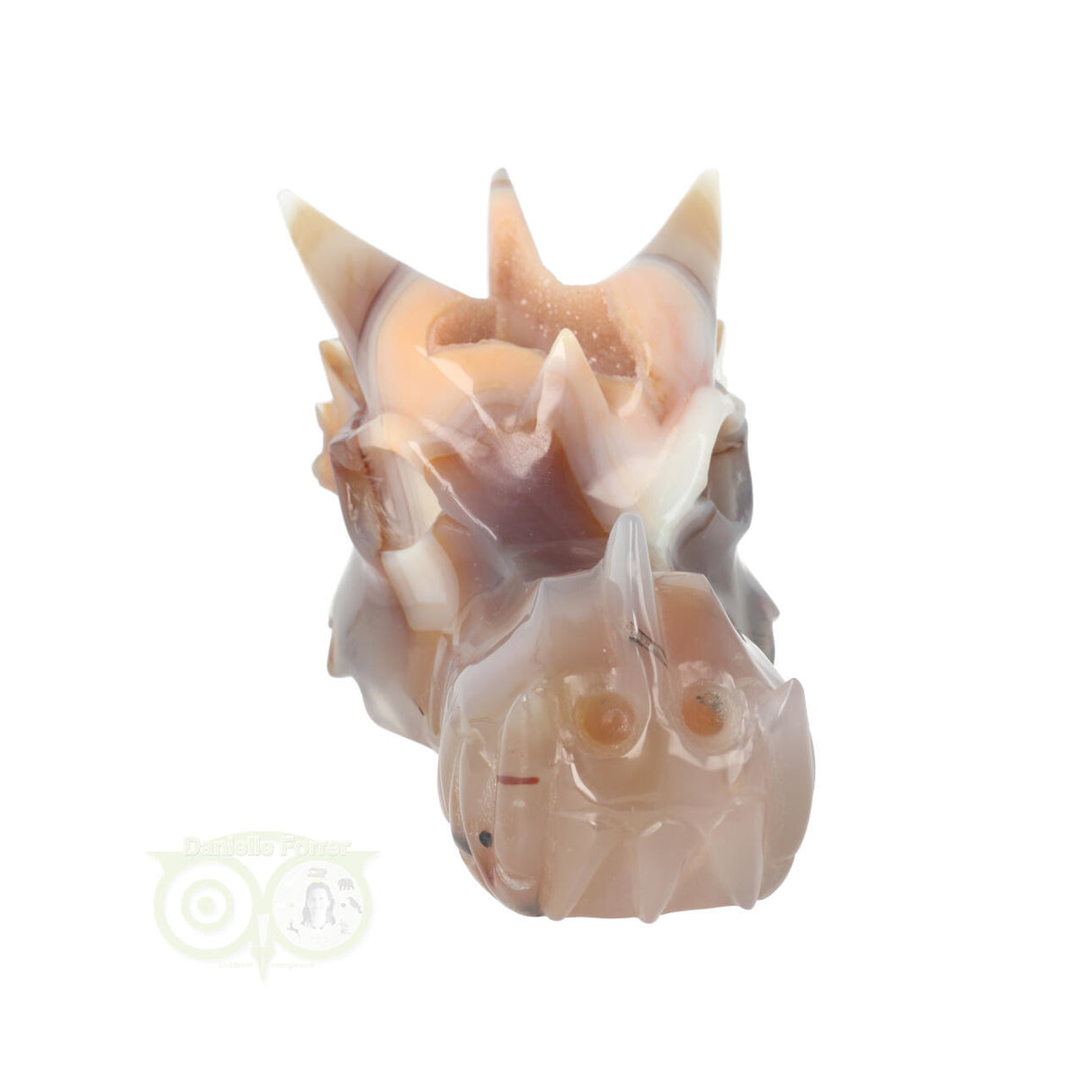 Agaat Chalcedoon Geode Drakenschedel 619 gram