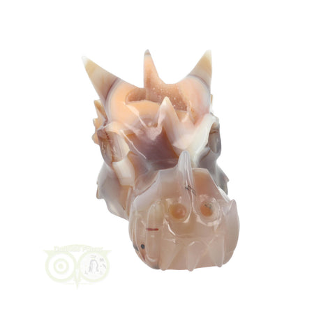 Agaat chalcedoon schedel draak 619 gram met natuurlijke kristallen