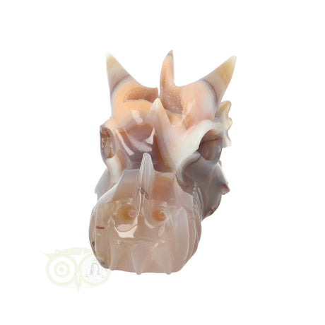 Draken schedel met agaat geode en chalcedoon 619 gram