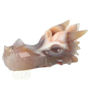 Agaat chalcedoon geode draken schedel 619 gram edelstenen draak