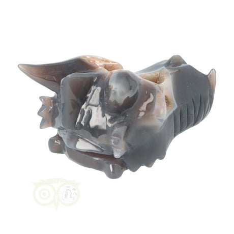 Grote agaat draken schedel 952 gram met geode en chalcedoon structuur