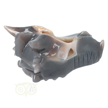 Agaat chalcedoon schedel draak 952 gram met natuurlijke kristallen