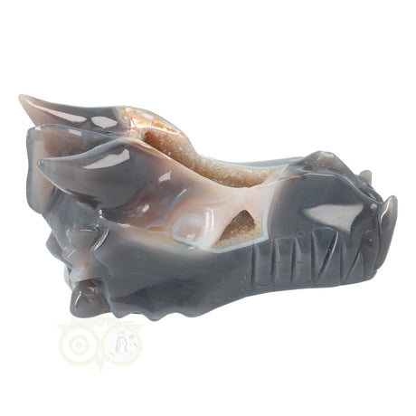 Draken schedel met agaat geode en chalcedoon 952 gram carving