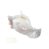 Agaat Drakenschedel 139 gram
