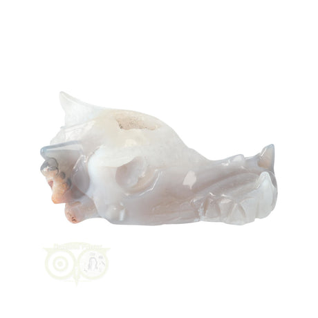 Agaat Drakenschedel 139 gram