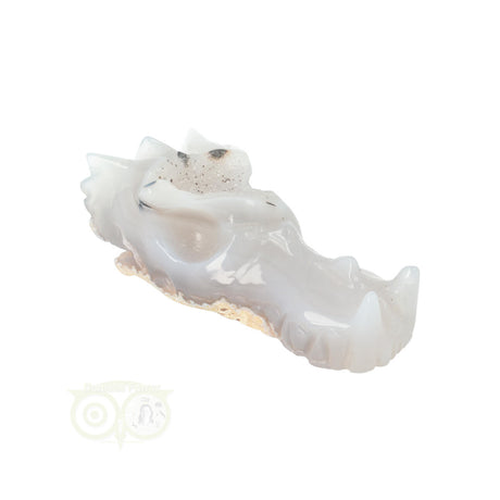 Agate Dragon Skull 157 grams