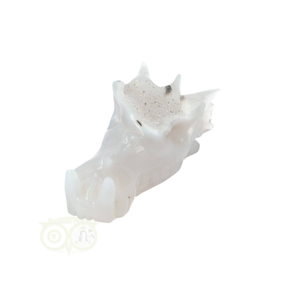 Agaat Drakenschedel 157 gram