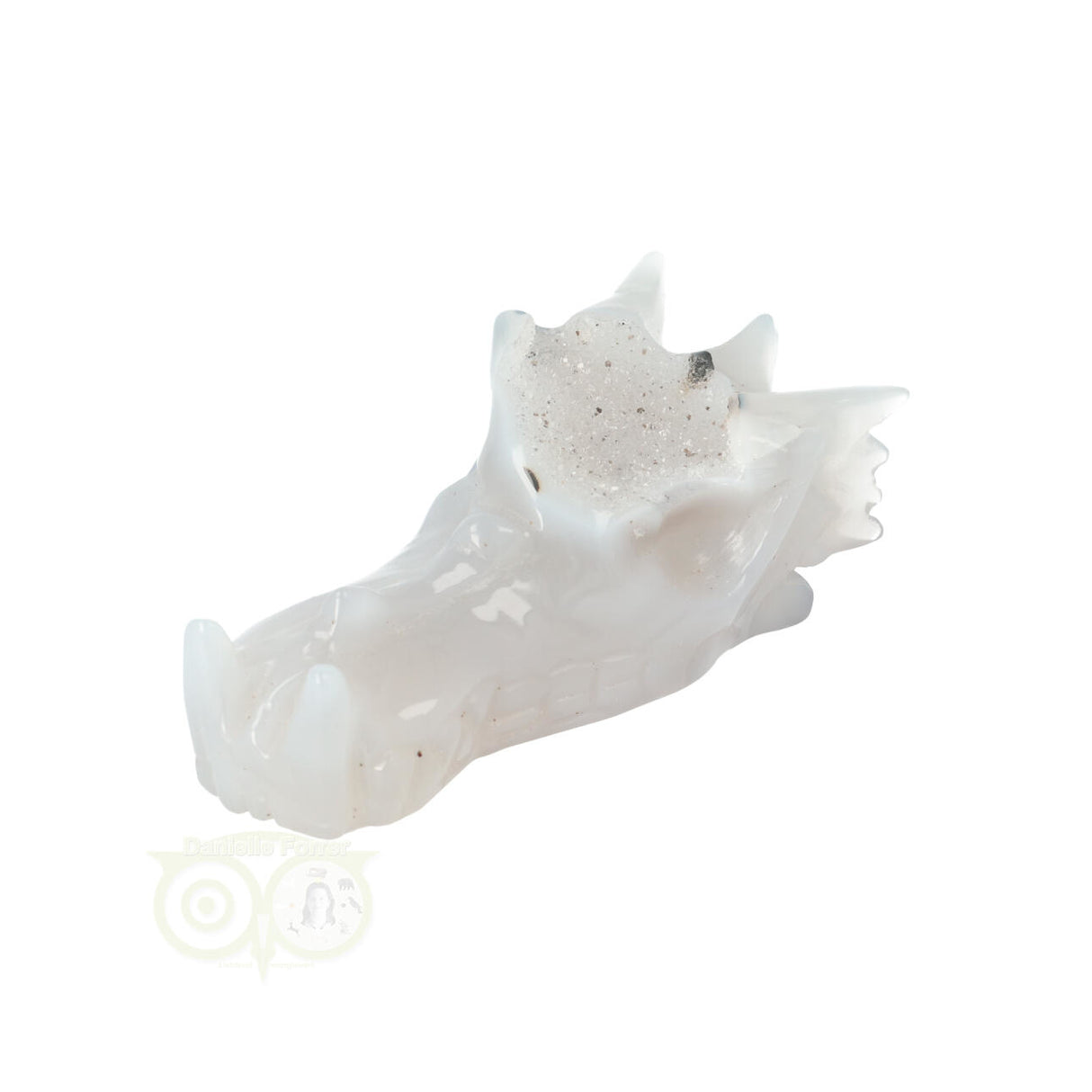 Agaat Drakenschedel 157 gram
