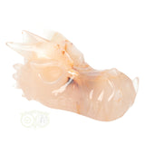 Agaat Drakenschedel 398 gram