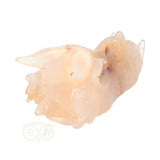 Agaat Drakenschedel 398 gram