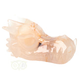 Agaat Drakenschedel 398 gram