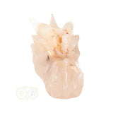 Agaat Drakenschedel 398 gram