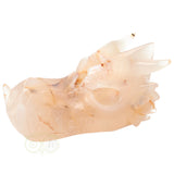 Agaat Drakenschedel 398 gram