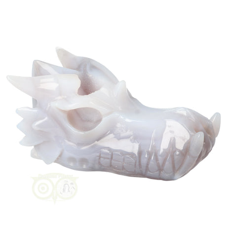 Agaat geode drakenschedel 523 gram | Edelstenen Draak