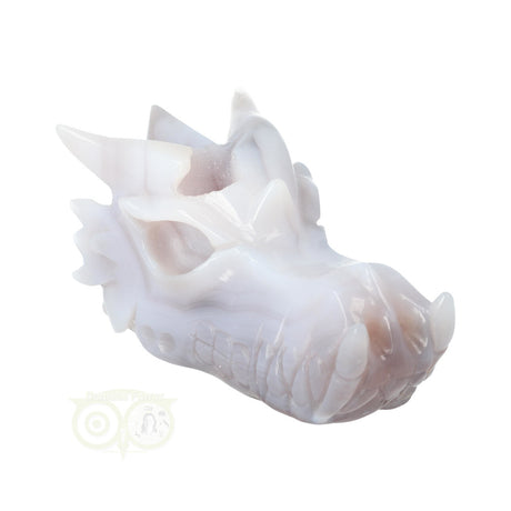 Edelstenen draak agaat geode 523 gram carving