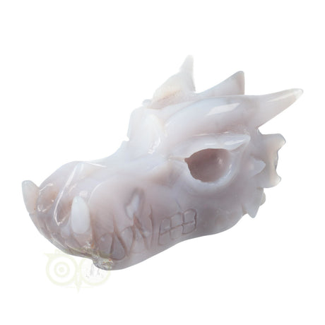 Agaat drakenschedel carving 523 gram met geode vorm