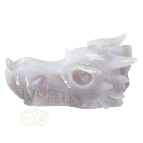 Agaat geode schedel draak 523 gram edelsteen