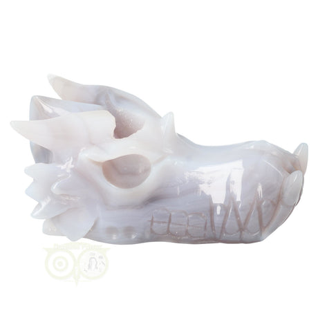 Agaat geode draken schedel 523 gram met natuurlijke tekening