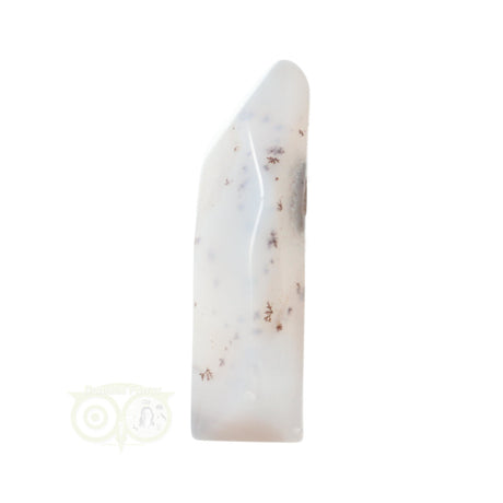 agaat geode kristal plat model