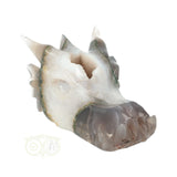 Agaat geode draken schedel 517 gram