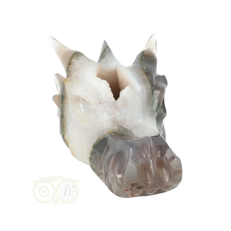 Edelstenen draken schedel agaat 517 gram met geode opening