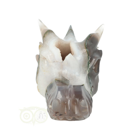 Agaat drakenschedel 517 gram met chalcedoon en kristalstructuur