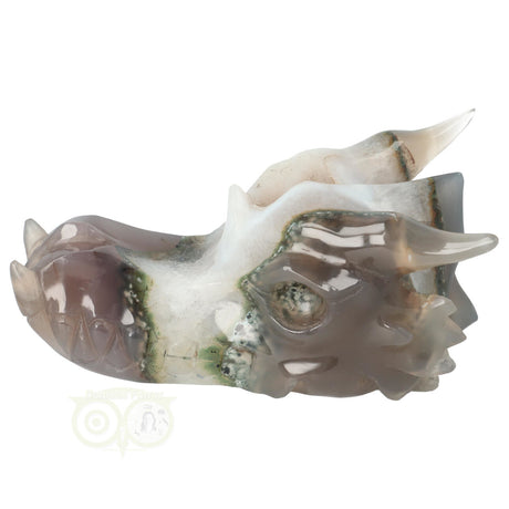 Draken schedel met agaat geode en chalcedoon 517 gram