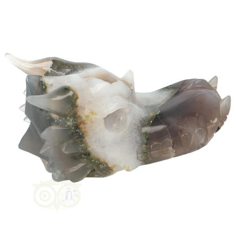 Agaat edelstenen draken schedel 517 gram met geode en glans