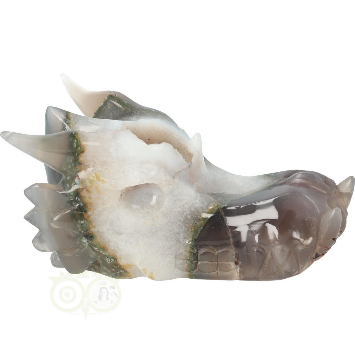 Agaat geode draken schedel 517 gram