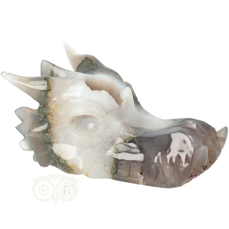 Agaat draken schedel carving 517 gram met chalcedoon kern