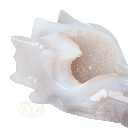 Kleine agaat drakenschedel 157 gram met geode structuur