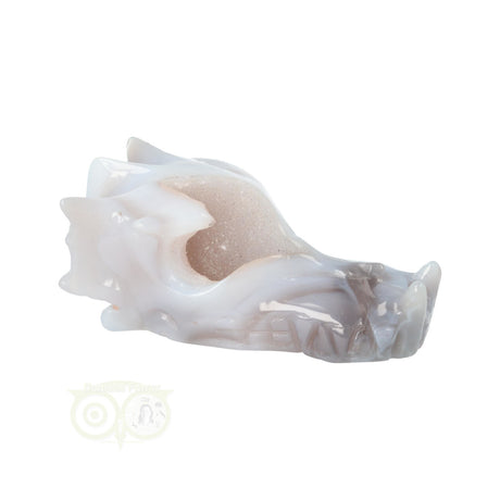 Edelstenen draak agaat geode 157 gram carving