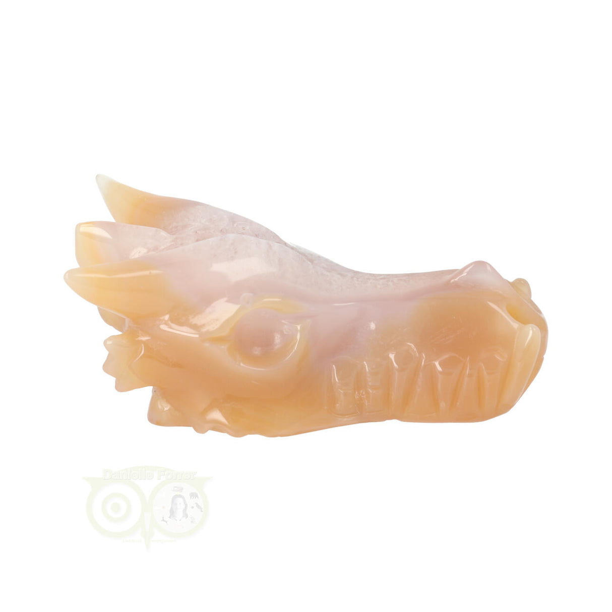 Agaat geode draken schedel 218 gram met natuurlijke tekening
