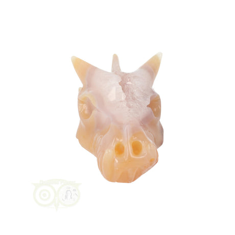 Edelstenen draak agaat geode 218 gram carving