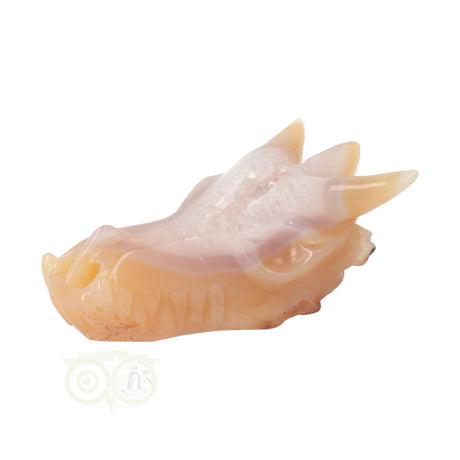 Agaat geode drakenschedel 218 gram met kristallen binnenzijde