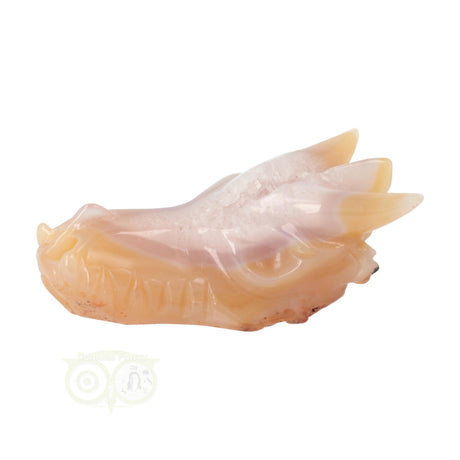 Gele agaat draken schedel 218 gram met natuurlijke patronen