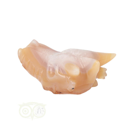 Agaat drakenschedel carving 218 gram met geode vorm