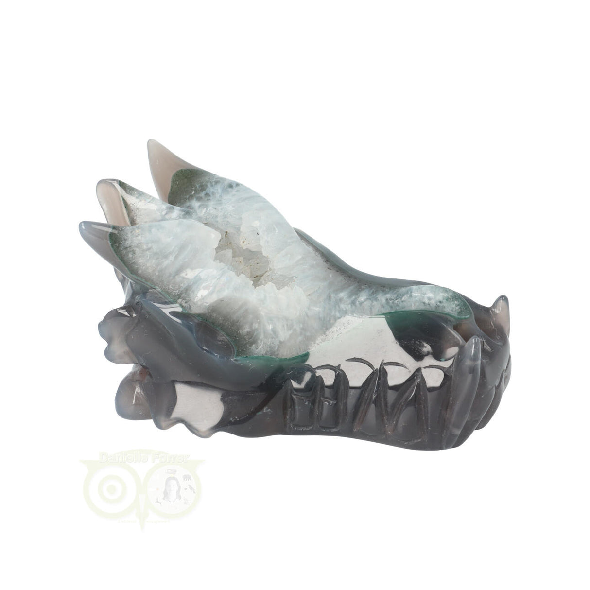 Agaat geode drakenschedel 234 gram | Edelstenen Draak