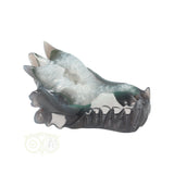 Agaat geode drakenschedel 234 gram | Edelstenen Draak