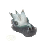 Agate Geode Dragon Skull 234 grams