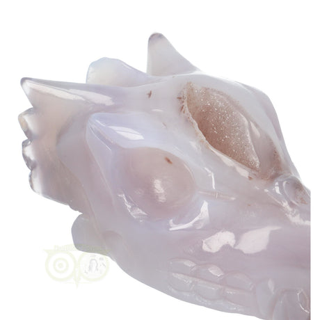 Agate Dragon Skull 265 grams
