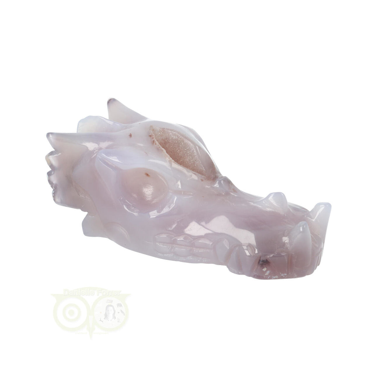 Agaat geode drakenschedel 265 gram | Edelstenen Draak
