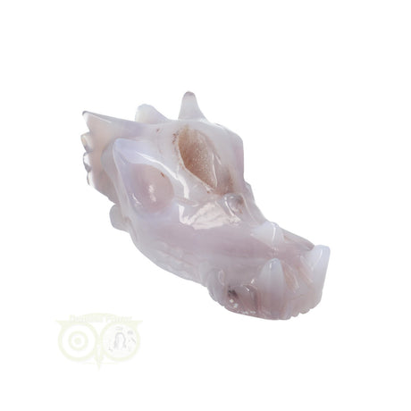 Edelstenen draak agaat geode 265 gram carving