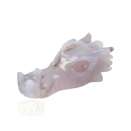 Agaat geode draak 265 gram met unieke structuur