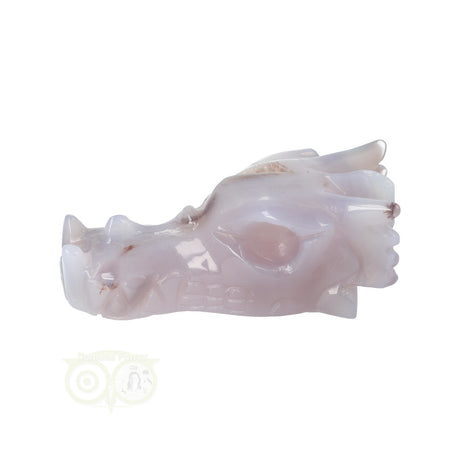 Agaat drakenschedel carving 265 gram met geode vorm