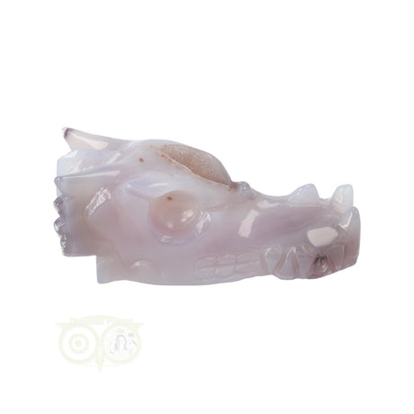 Agaat geode schedel draak 265 gram edelsteen