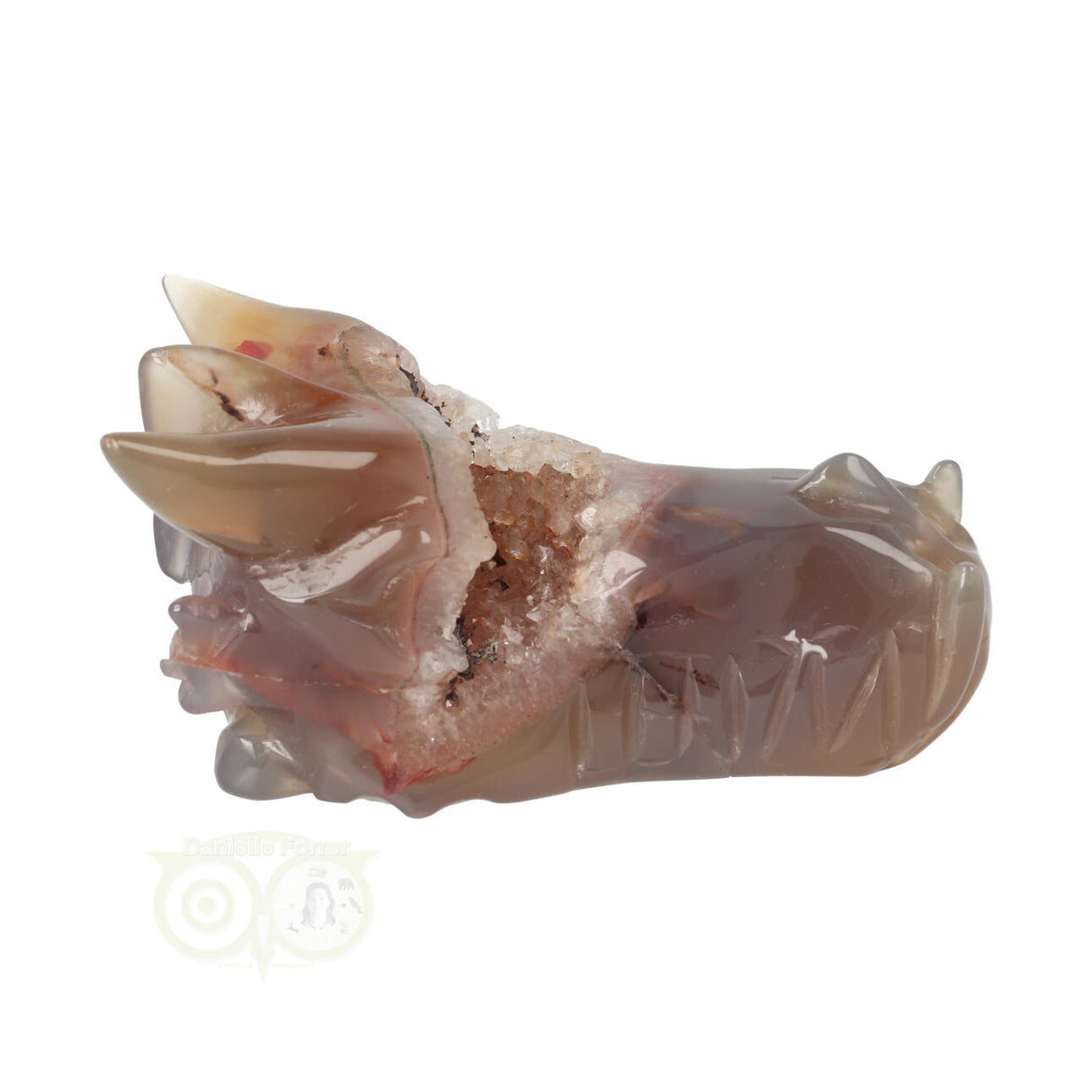 Agaat geode draken schedel 286 gram met natuurlijke tekening