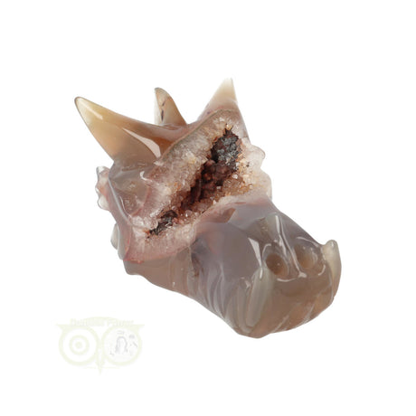 Agate Geode Dragon Skull 286 grams