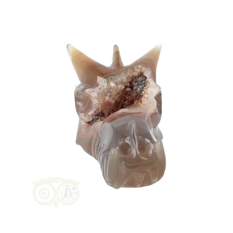 Edelstenen draak agaat geode 286 gram carving