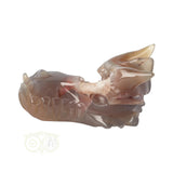 Agate Geode Dragon Skull 286 grams